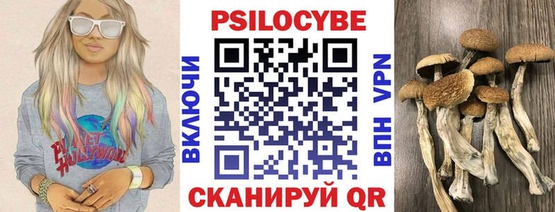 Галлюциногенные грибы мухоморы  Кудрово 